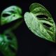 王雅琴儿童发展心理学顾问头像，亲切温暖，咨询室背景